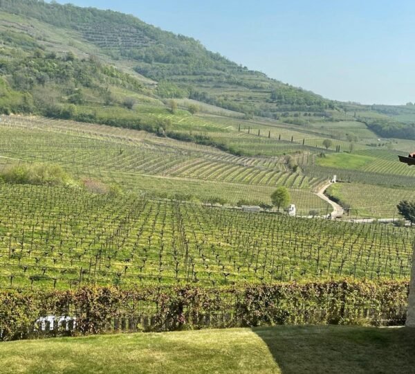 The Grand Cru Giveaway: Value: $1,600