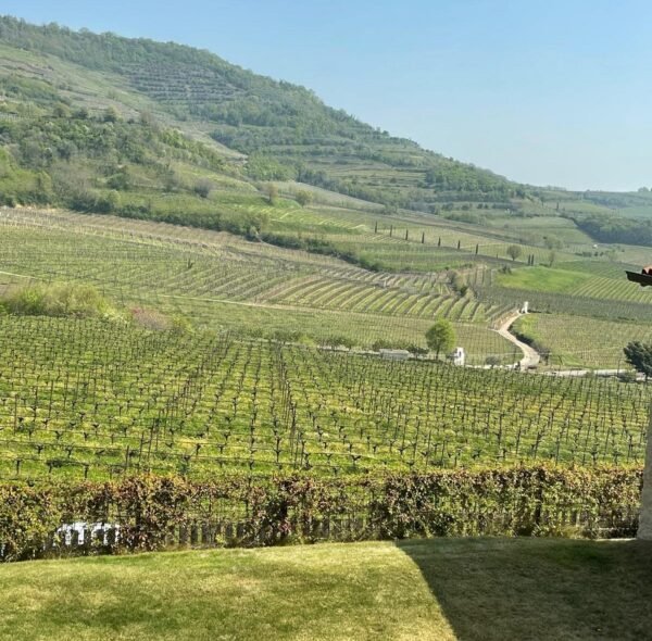 The Grand Cru Giveaway: Value: $1,600