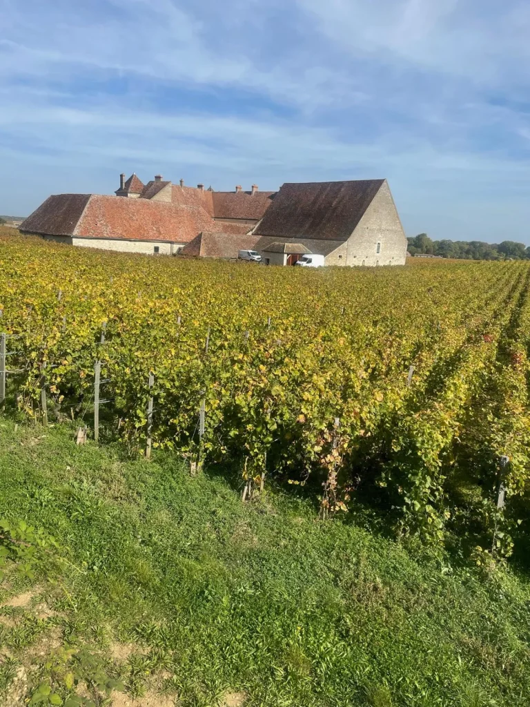 IMG-20250707-WA0012-1