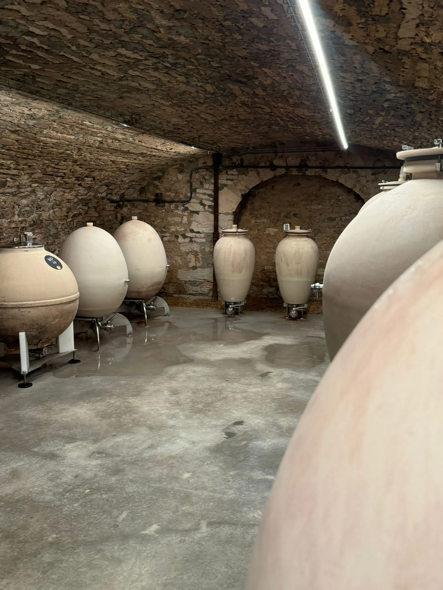 WhatsApp-Image-2025-12-15-at-12.50.44-AM-2