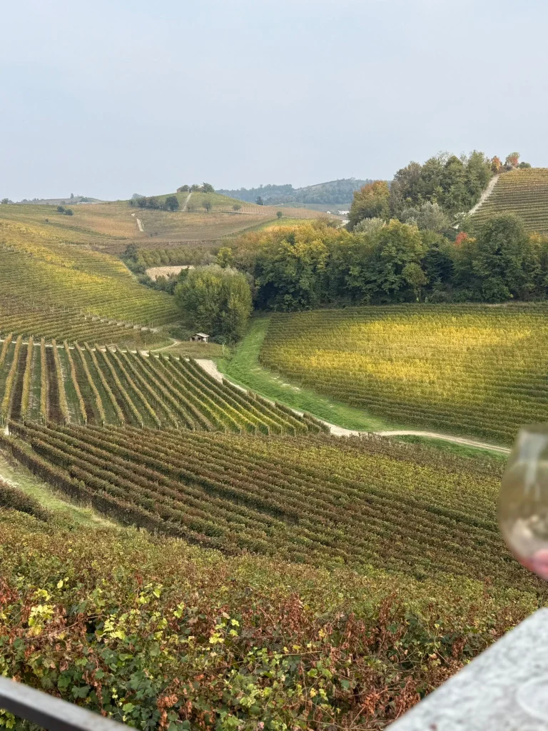 WhatsApp-Image-2025-12-15-at-12.50.44-AM-6